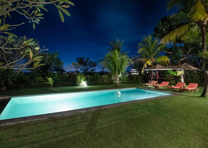Dream View